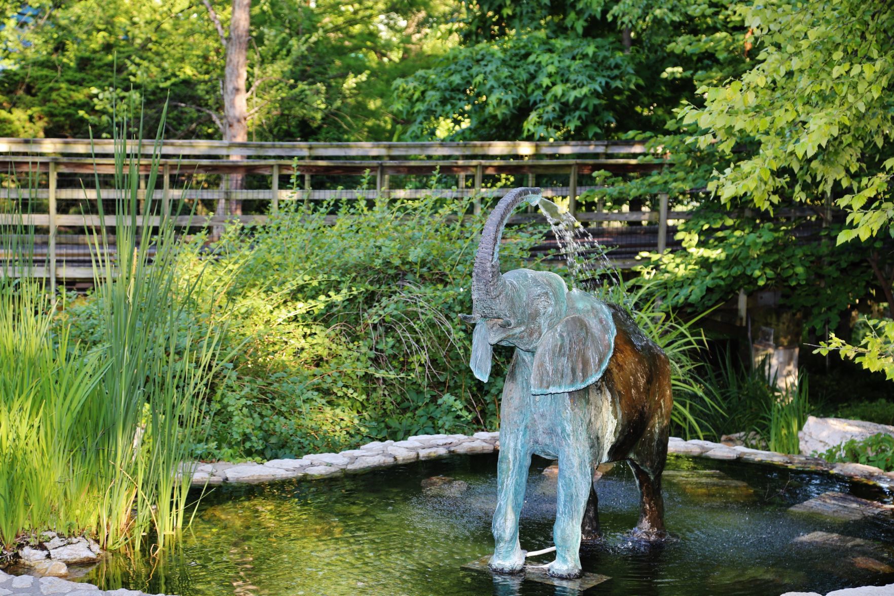 Zoo-Ado-005.JPG